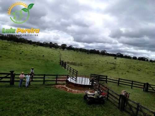 Imagem 3 de 14 de Fazenda À Venda Em Nioaque - Ms - De 463,57 Hectares (pecuária) - 1665