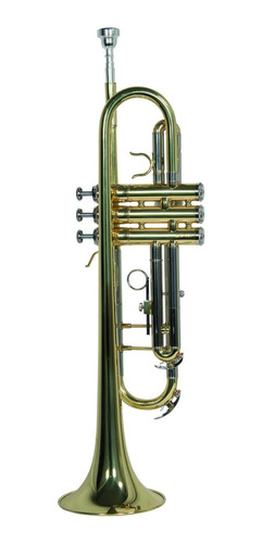 Trompeta Bb/c Laqueado Dorado Con Estuche Wesner Ptr1000c-g