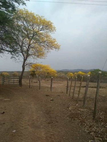 Imagen 13 de 23 de Venta De Finca Edo. Guarico, Pao Los Dos Caminos 1082 Hectáreas