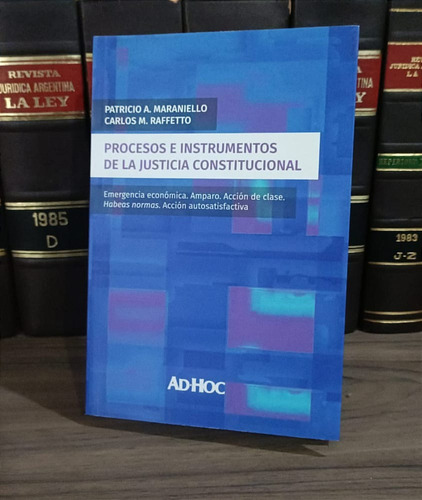  Procesos E Instrumentos De La Justicia Constitucional Adhoc