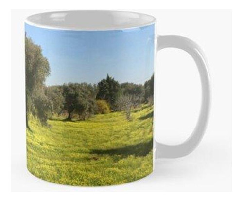 Taza Primavera Entre Los Olivos. Calidad Premium