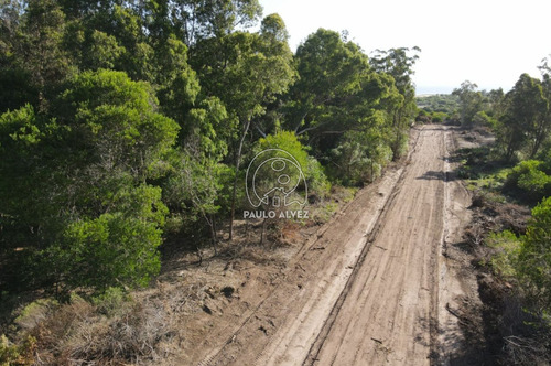 Imagen 5 de 10 de Terrenos Venta Playa Verde