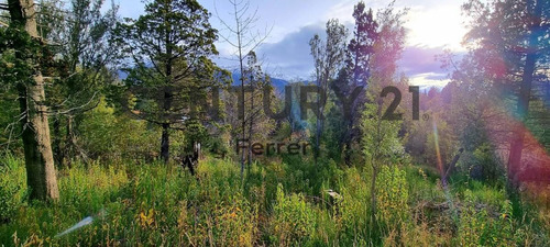 Imagen 1 de 12 de Lote En Venta Bariloche - Villa Lago Gutiérrez Id: 3150