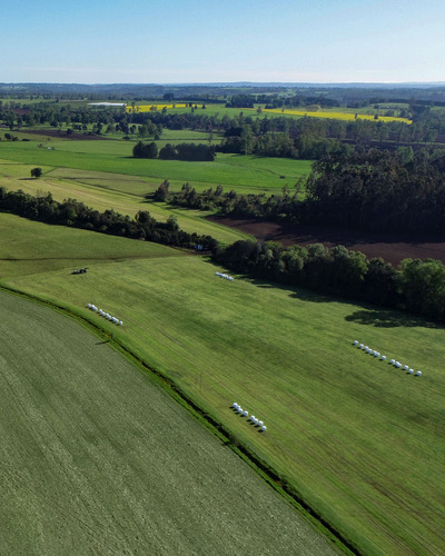 Parcelas Planas A 15 Minutos De Frutillar. Contado O Crédito