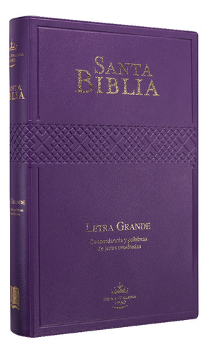 Biblia Rvr1960 Mediana L Grande Vinil Morado 12pt Rvr062cpjr