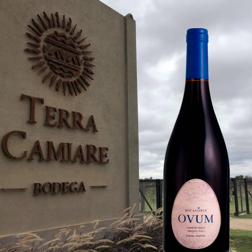 Vino Socavones Ovum Reserva Cabernet Franc 750ml