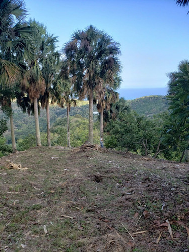 Finca De Aguacate En Venta En Paraíso Barahona Con Vista Al Mar