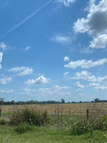 Campo Marcos Paz - Inversión Unica