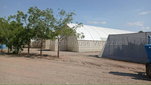 Imagen 12 de 30 de Jose Lopez Rent A House Te Ofrece En Venta Finca Productiva En Municipio Jimenez Quibor Lara, Venezuela 3001, Telf. 0414-5533925 #23-953 $450000