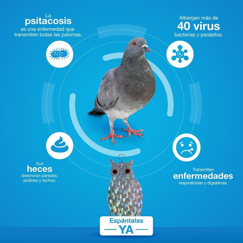 Imagen 8 de 10 de Espanta Aves Modelo Búho Envíos A Lima Y Provincia