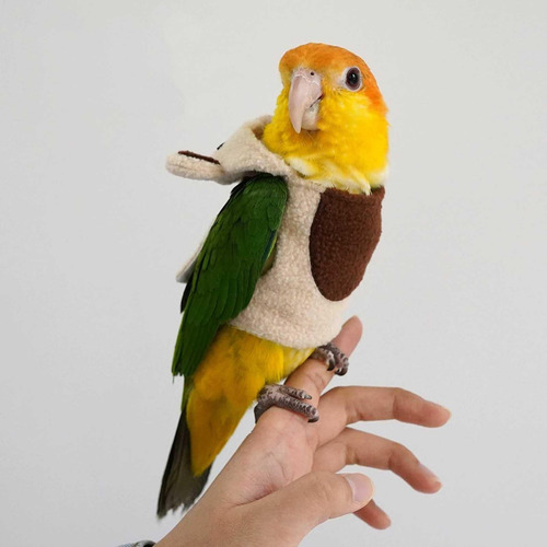Arnés Para Pájaros Para Cacatúa Disfraz De Cacatúa Paño Lind