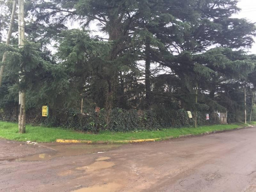 Imagen 1 de 6 de Lote En Venta, San Miguel