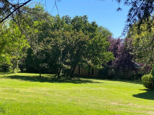 Imagen 5 de 12 de Venta De Cabañas En Casco Centrico
