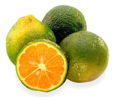 X50 Semillas De Limon Mandarina