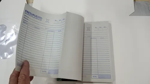 Talonario Presupuesto Grande Duplicado Alianza X 5 U.