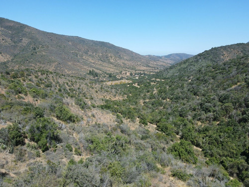 Imagen 9 de 9 de Venta De Sitios A 12 Km De Maitencillo, 1 Ha, Desde Uf 1.350