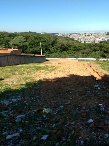 Imagem 4 de 4 de Terreno - Te00067 - 70276730