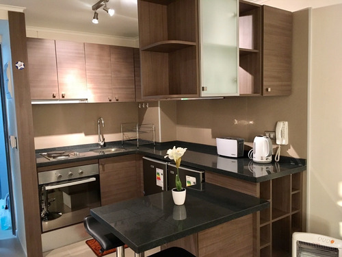 Arriendo Depto En Centro (minimo 10 Dias)