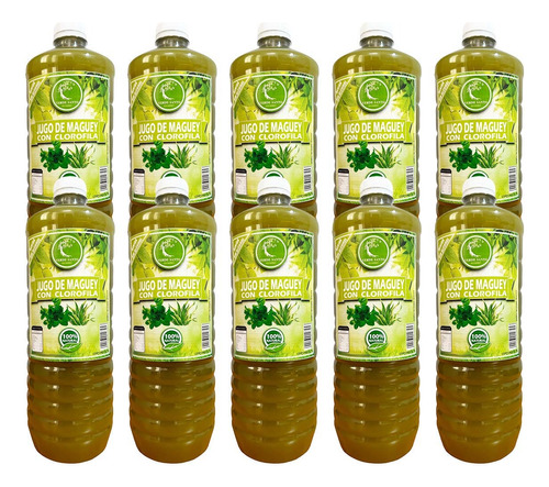 10 Botella Jugo De Maguey Asado Con Clorofila Verde Santo 1l