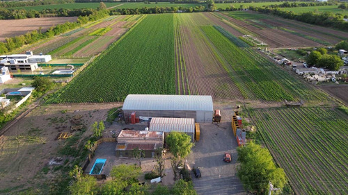 Campo En Zona Sur, Oportunidad De Inversión!!