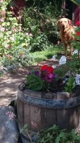 Terrenos En Venta En La Ribera De Quilmes