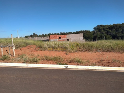 Imagem 4 de 4 de Terreno Padrão Em Suzano - Sp - Te0114_rncr