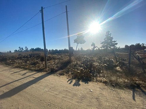 Se Vende Parcela De 1ha En El Sector Malvilla, San Antonio