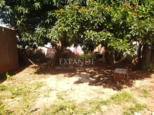 Imagem 2 de 4 de Casa No Bairro Parque Viaduto - Ca00486
