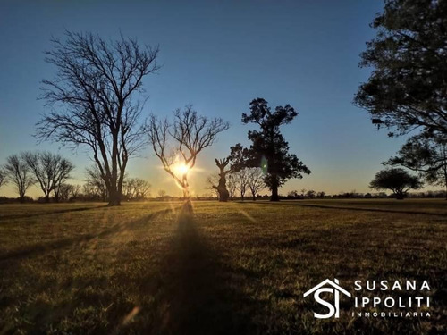 Imagen 20 de 30 de Espectacular Fracción De Campo Para Urbanización, Proponga Su Proyecto !!