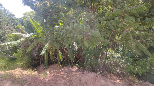 Vendo Chácara Em Salto De Pirapora (quinta Do Netinho)