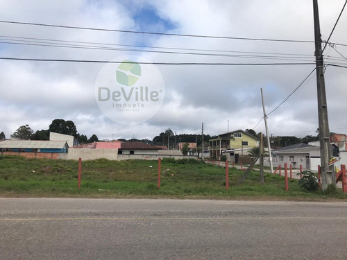 Imagem 1 de 16 de Terreno A Venda No Bairro Borda Do Campo Em São José Dos - 30084-1