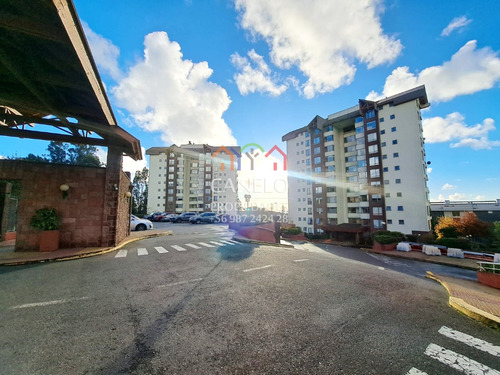 Se Vende Amplio Y Soleado Departamento 4d3b Andalue.