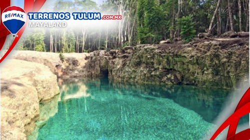 Cenote Con 17.5 Hectareas Con Frente De Carretera