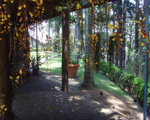 Terreno 19.192m2 (zona Mista) Em Barueri Sp P/incorporador - 1350-tegd - 67750169