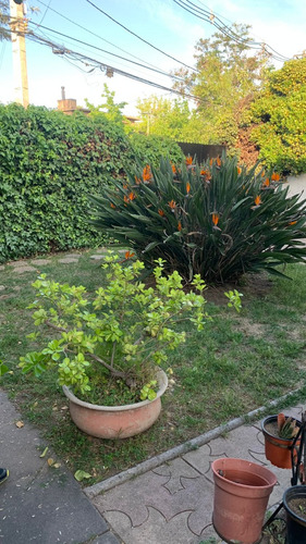 Venta Casa Las Condes 132/288 Mts.