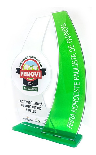 Troféus 45 Unid - Personalizados Em Acrílico - 20x10cm