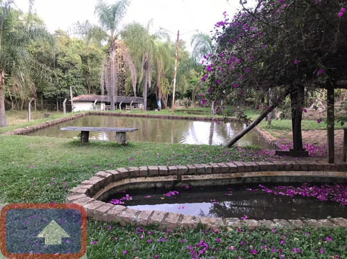 Lindo Sítio A Venda Atibaianos Em Bragança Paulista/sp - 14550
