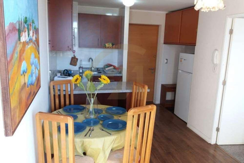 Arriendo Depto Amoblado 1d 1b Concepción