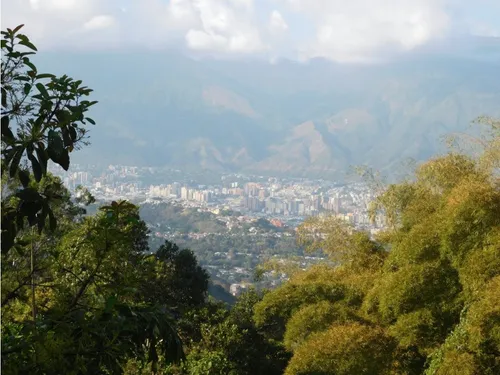 Casa En Venta En Alto Hatillo