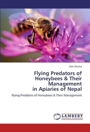 Flying Predators Of Honeybees  Y  Their Management In Apiari