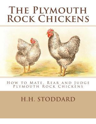 Libro The Plymouth Rock Chickens : How To Mate, Rear And ...