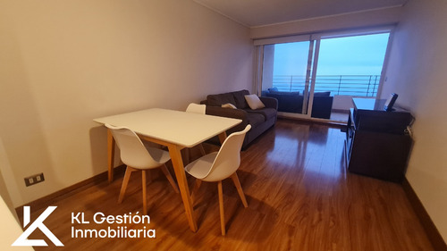 Departamento 1hab Amoblado En Arriendo En Edificio Reñacamar