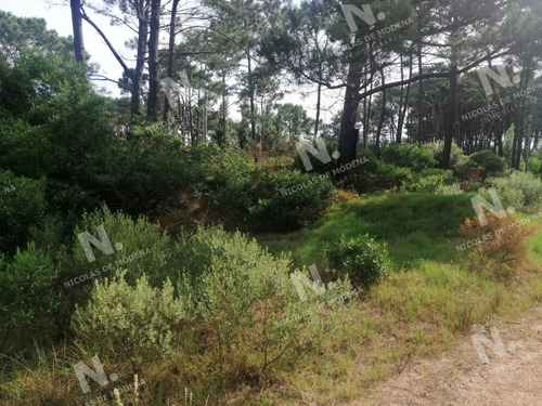 Imagen 6 de 6 de Terreno En Punta Ballena, Chihuahua - Punta Ballena Chihuahua