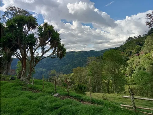 Vendo Finca Reventones Anolaima