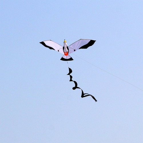 Hermosa De Gaviota En 3d Para Niños Y Adultos, De C