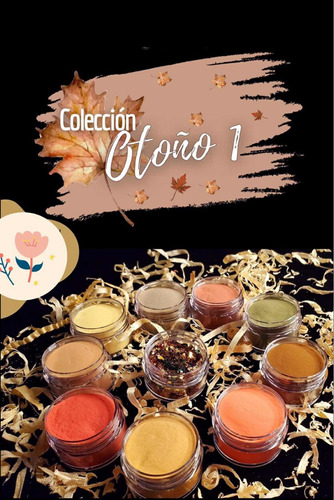 Colecciones Otoño 1 Y 2 Uñas 20 Acrílicos 1/4 Oz (8 Grs)