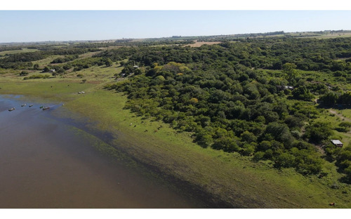 Campo De 10 Has Arbolado Sobre La Costa, Rincon De Nogoya