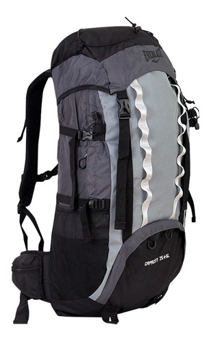 Mochila Mochilero Viaje 75+5 Lst Everlast Con Varilla Color Gris