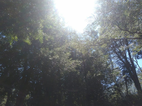 Venta Parcela-en Ruta N-55- Las Trancas-termas De Chillán