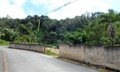 Imagen 1 de 10 de Lizmar Cottua 04122503801 Oripoto Mls #20-16636